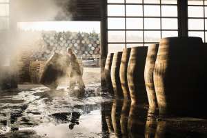 Male cooper working in cooperage with whisky casks