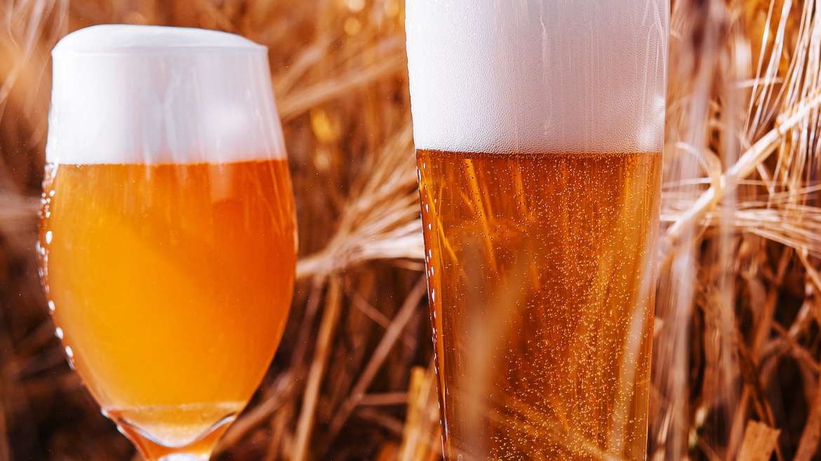 two glasses of beer in a wheat field